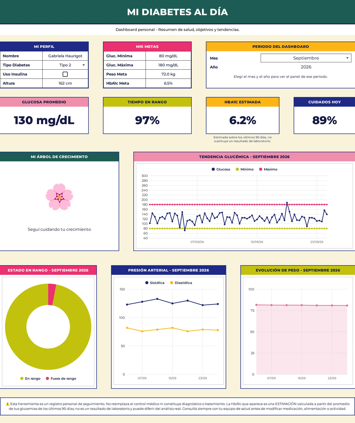 Dashboard del Google Sheet Mi Diabetes al Día — Google Sheet Mi Diabetes al Día